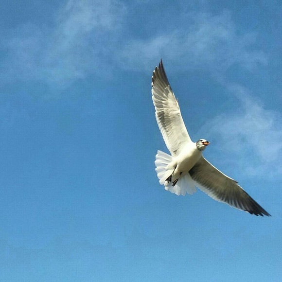 Meet your Posher, Christy - Picture 1 of 1